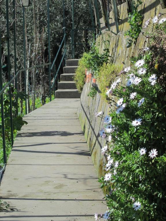 L'Uliveto Bed and Breakfast Positano Buitenkant foto