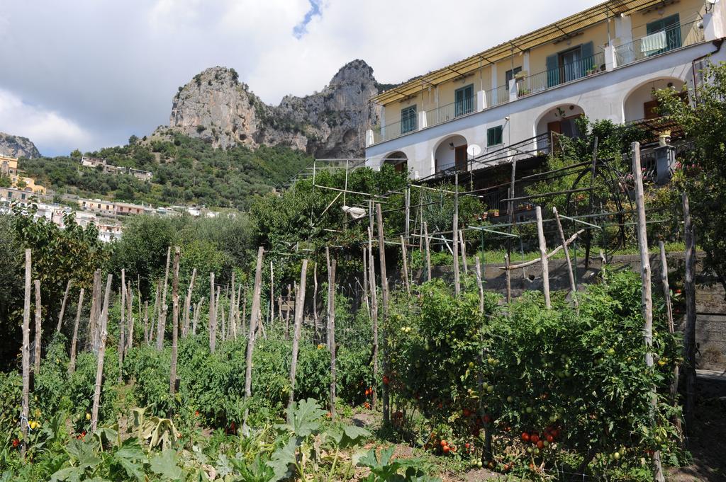 L'Uliveto Bed and Breakfast Positano Buitenkant foto